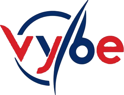 VYBE – Vietnamese Young Business Association in Europe