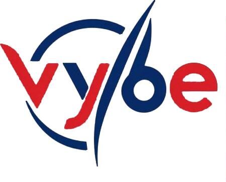 VYBE – Vietnamese Young Business Association in Europe