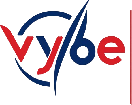 VYBE – Vietnamese Young Business Association in Europe